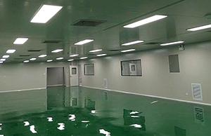 肥西工投(tou)皖羚項目(mu)